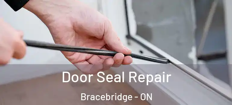  Door Seal Repair Bracebridge - ON