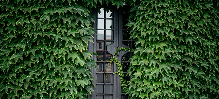 Garden Gate Repair in Bracebridge, ON