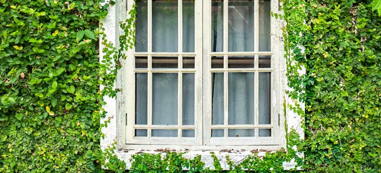 Garden Window Repair Near Me in Bracebridge, ON