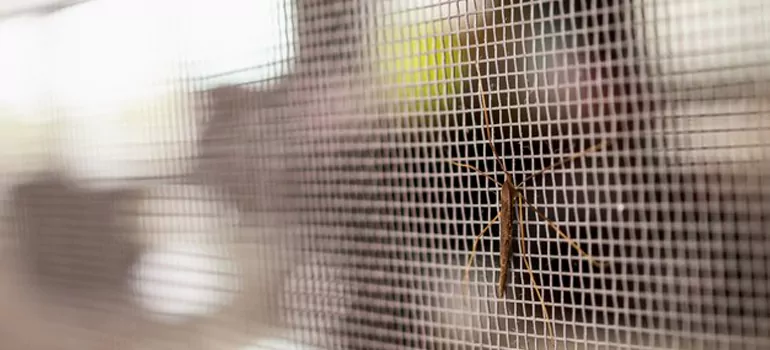 Repair Mosquito Mesh For Windows in Bracebridge, ON