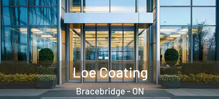  Loe Coating Bracebridge - ON