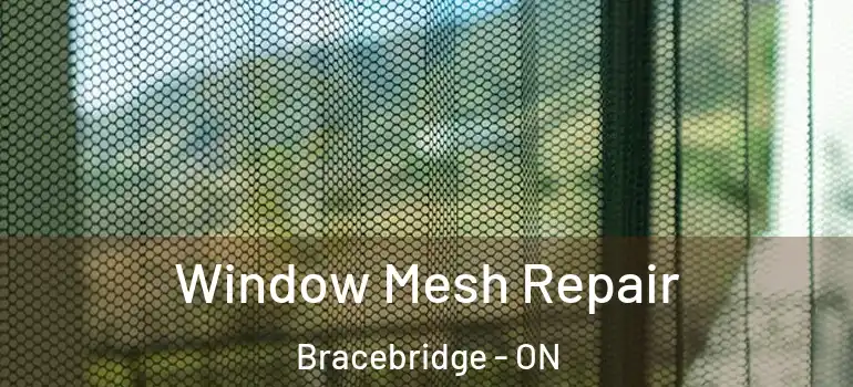  Window Mesh Repair Bracebridge - ON