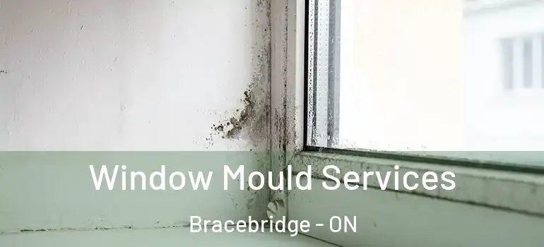  Window Mould Services Bracebridge - ON