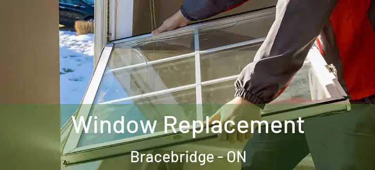  Window Replacement Bracebridge - ON