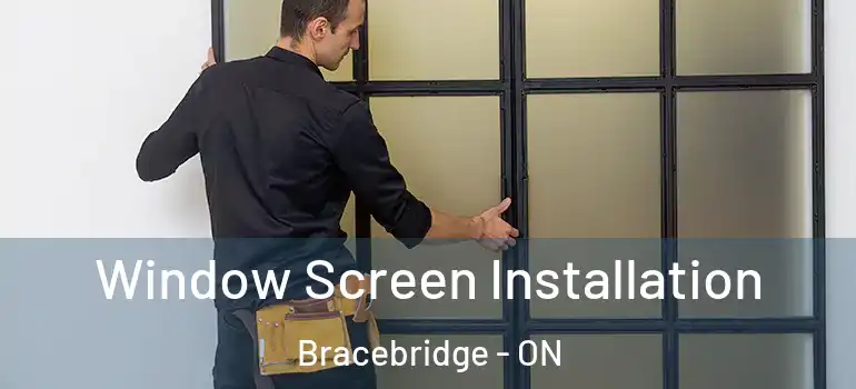  Window Screen Installation Bracebridge - ON