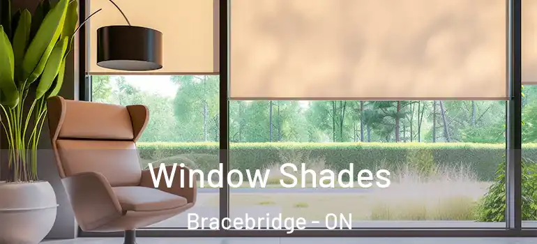  Window Shades Bracebridge - ON