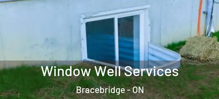  Window Well Services Bracebridge - ON
